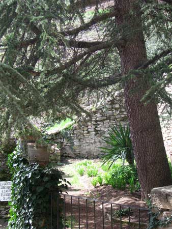 IMG_1518
